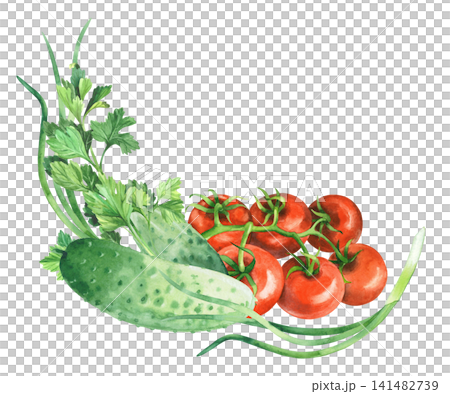 Corner composition of the tomatoes, cucumbers, parsley and green onion. Watercolor illustration. Handmade art work. For packaging design, cards, cover, prints, product labels and fabric. Corner composition of the tomatoes, cucumbers, parsley and green onion. Watercolor illustration. Handmade art work. For packaging design, cards, cover, prints, product labels and fabric. 141482739