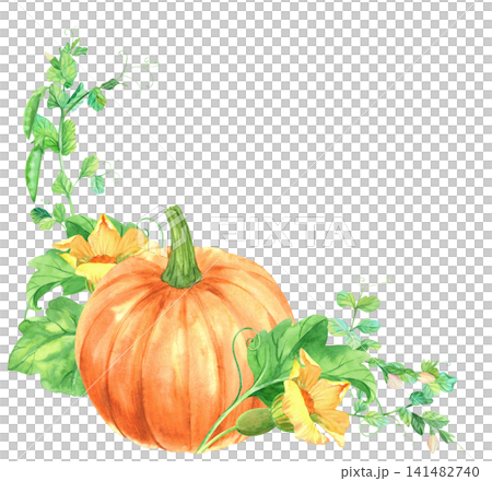 Corner composition of the tomatoes, cucumbers, parsley and green onion. Watercolor illustration. Handmade art work. For packaging design, cards, cover, prints, product labels and fabric. 141482740