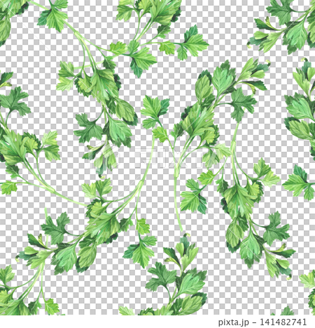 Seamless pattern of the parsley. Watercolor illustration. Handmade art work. For packaging design, cards, cover, prints, product labels and fabric. Seamless pattern of the parsley. Watercolor illustration. Handmade art work. For packaging design, cards, cover, prints, product labels and fabric. 141482741