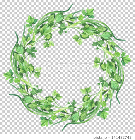 Wreath of the parsley and green onion. Watercolor illustration. Handmade art work. For packaging design, cards, cover, prints, product labels and fabric. Wreath of the parsley and green onion. Watercolor illustration. Handmade art work. For packaging design, cards, cover, prints, product labels and fabric. 141482742