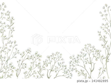 Watercolor white gypsophila flowers frame on isolated background. Floral border with delicate small white blossoms. Baby breath branches illustration for greeting card or wedding invitation. 141482895