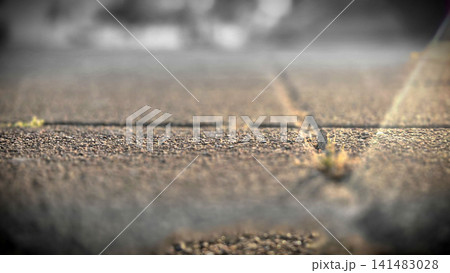 Close Up of Weathered Pavement Texture Close Up of Weathered Pavement Texture 141483028