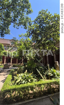 Tropical garden courtyard with historic building and blue sky Tropical garden courtyard with historic building and blue sky 141483199