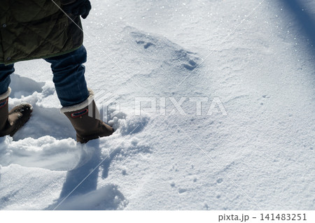 雪の中を歩く 雪の中を歩く 141483251