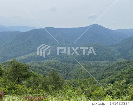 新緑に包まれた山々のパノラマ風景 新緑に包まれた山々のパノラマ風景 141483584