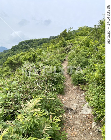 夏の山並みを望む爽やかな高原風景 夏の山並みを望む爽やかな高原風景 141483586