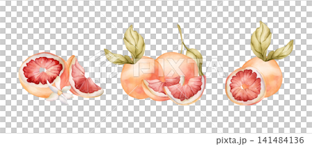 Grapefruit summer citrus fruits. Watercolor hand drawn floral food illustration isolated on white background for home kitchen textile fresh fabric print card cosmetic package porcelain crockery label Grapefruit summer citrus fruits. Watercolor hand drawn floral food illustration isolated on white background for home kitchen textile fresh fabric print card cosmetic package porcelain crockery label 141484136