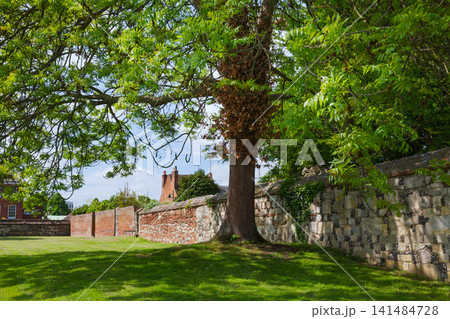 St Augustines Abbey Garden Wall Canterbury England St Augustines Abbey Garden Wall Canterbury England 141484728