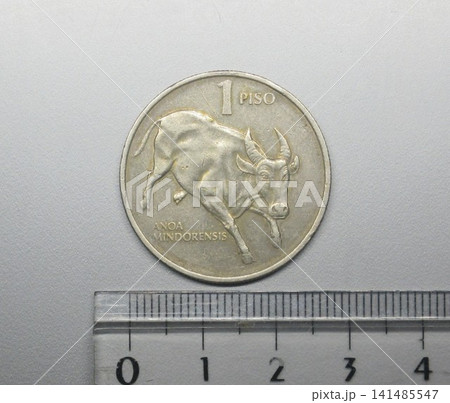 フィリピンで1989年に発行された1ピソ硬貨 フィリピンで1989年に発行された1ピソ硬貨 141485547