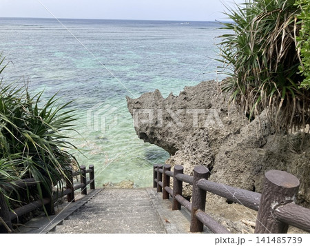 シンビジ　沖縄県　宮古島の秘境 141485739