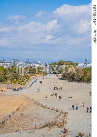 浜松市の中田島砂丘の風景(静岡県) 141486191