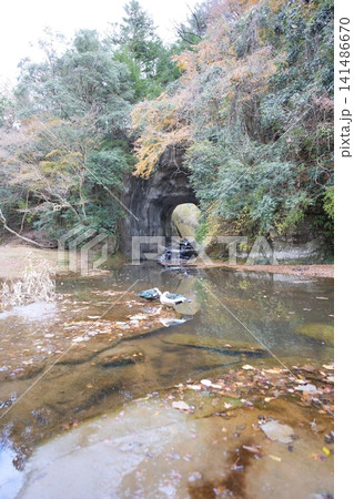 秋の紅葉に染まる幻想的な濃溝の滝と亀岩の洞窟の絶景 秋の紅葉に染まる幻想的な濃溝の滝と亀岩の洞窟の絶景 141486670