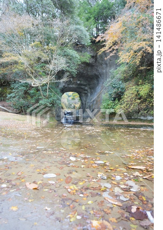 秋の紅葉に染まる幻想的な濃溝の滝と亀岩の洞窟の絶景 141486671