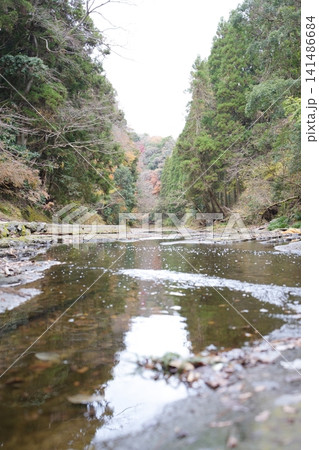 紅葉の木々に囲まれた養老渓谷の美しく穏やかな沢の自然風景 紅葉の木々に囲まれた養老渓谷の美しく穏やかな沢の自然風景 141486684