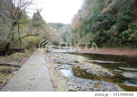 秋の深まる養老渓谷の沢沿いに続く自然豊かで穏やかな小道 秋の深まる養老渓谷の沢沿いに続く自然豊かで穏やかな小道 141486688