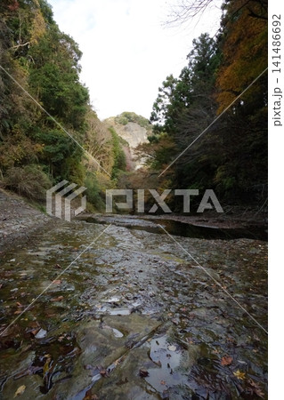紅葉の木々に囲まれた養老渓谷の美しく穏やかな沢の自然風景 紅葉の木々に囲まれた養老渓谷の美しく穏やかな沢の自然風景 141486692