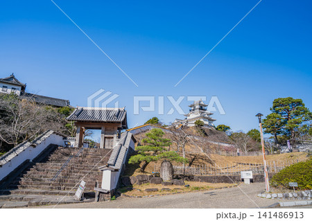 掛川市の掛川城の風景(静岡県) 141486913