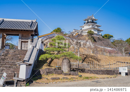 掛川市の掛川城の風景(静岡県) 掛川市の掛川城の風景(静岡県) 141486971