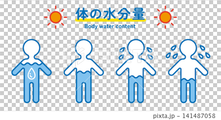 体内水分量のアイコン。水分補給や脱水状態を表すイラスト。 体内水分量のアイコン。水分補給や脱水状態を表すイラスト。 141487058