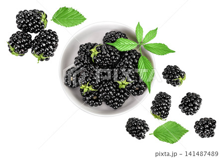 blackberry with leaf in ceramic bowl isolated on a white background. Top view. Flat lay blackberry with leaf in ceramic bowl isolated on a white background. Top view. Flat lay 141487489