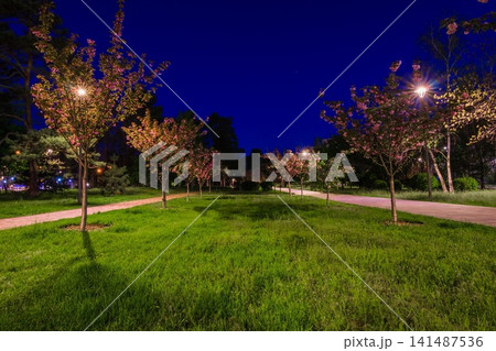 The tiled road in the night park with lanterns with Japanese che The tiled road in the night park with lanterns with Japanese che 141487536