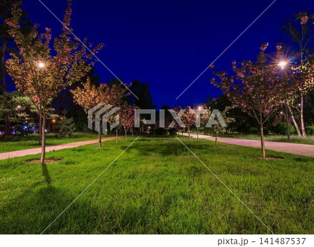 The tiled road in the night park with lanterns with Japanese che The tiled road in the night park with lanterns with Japanese che 141487537