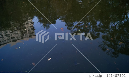 Close-up of the water of the pool in a public park. Clear water with reflection. Water reflection. Nature scene. Close-up of the water of the pool in a public park. Clear water with reflection. Water reflection. Nature scene. 141487592