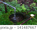 苔むした水飲み場 141487667
