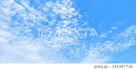 うろこ雲が広がる青空の景色素材 うろこ雲が広がる青空の景色素材 141487716