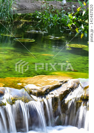 The view of the waterfall in a public park. Splashing Water, water flowing. Nature concept. The view of the waterfall in a public park. Splashing Water, water flowing. Nature concept. 141487820
