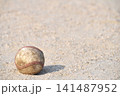 土のグラウンドに転がる1球の野球ボール 141487952