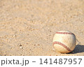 土のグラウンドに転がる1球の野球ボール 141487957