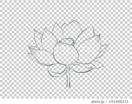 蓮花的線條畫 蓮花的線條畫 141488211