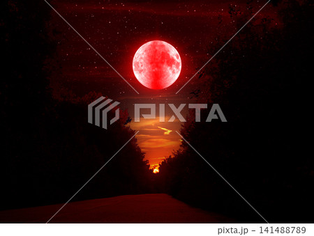 Eclipse - Bloody Moon in the night sky and a road in the forest 141488789