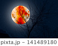 Eclipse - Blood orange Moon and the dark sky in the silhouette  of the trees. 141489180