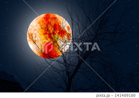 Eclipse - Blood orange Moon and the dark sky in the silhouette of the trees. Eclipse - Blood orange Moon and the dark sky in the silhouette of the trees. 141489180