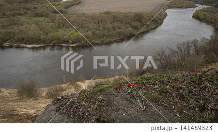 Red carnations left at the edge of Krivoborye cliff by the winding Don River Red carnations left at the edge of Krivoborye cliff by the winding Don River 141489323