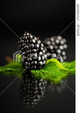 Ripe blackberries resting on green leaves with dark reflective background 141489384