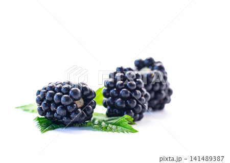 Juicy blackberry berries with natural foliage on clean white background Juicy blackberry berries with natural foliage on clean white background 141489387