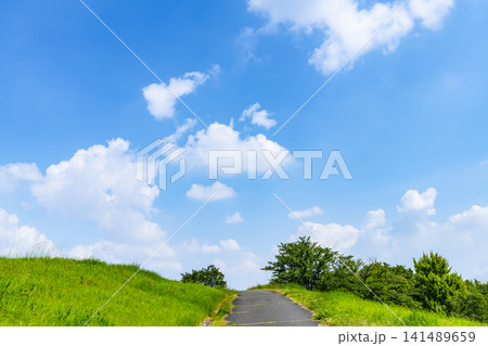 夏の青空と雲と草原と道路 夏の青空と雲と草原と道路 141489659