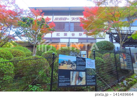 【広島県】日本三景安芸の宮島の宮島ロープウェイ 【広島県】日本三景安芸の宮島の宮島ロープウェイ 141489664