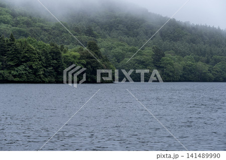梅雨の雨が降る湯ノ湖と深緑の山々 梅雨の雨が降る湯ノ湖と深緑の山々 141489990