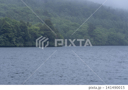 梅雨の雨が降る湯ノ湖と深緑の山 梅雨の雨が降る湯ノ湖と深緑の山 141490015