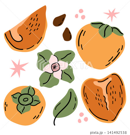 Hand Drawn Persimmon Clipart Set with Whole and Sliced Fruits Hand Drawn Persimmon Clipart Set with Whole and Sliced Fruits 141492538