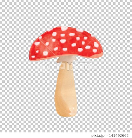 手繪的紅色蘑菇插圖 手繪的紅色蘑菇插圖 141492665