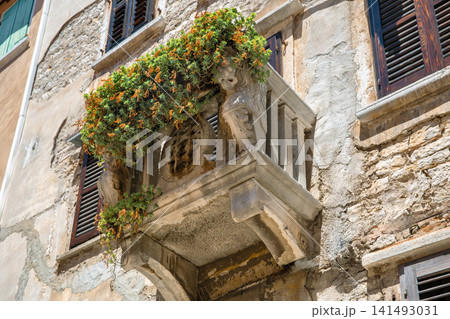Historic stone balcony with plants in Rovinj, Istria, Croatia. Historic stone balcony with plants in Rovinj, Istria, Croatia. 141493031
