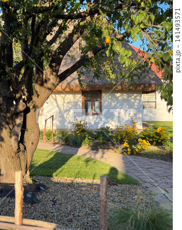 Idyllic rural environment featuring cozy dwelling amidst peaceful natural scenery and sunlight 141493571