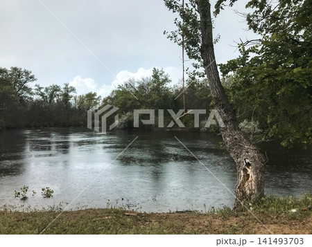 Tree Swing Hanging Over a Quiet Forest River on a Rainy Day Tree Swing Hanging Over a Quiet Forest River on a Rainy Day 141493703