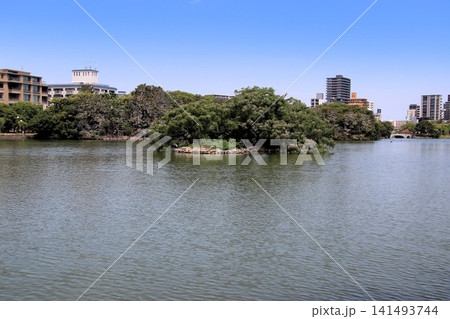 福岡市の大濠公園風景 福岡市の大濠公園風景 141493744