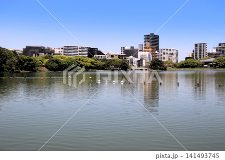福岡市の大濠公園風景 福岡市の大濠公園風景 141493745